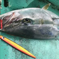 広進丸 釣果
