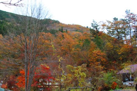 小菅トラウトガーデン 釣果
