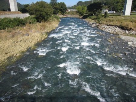 狩野川(狩野川漁業協同組合) 釣果