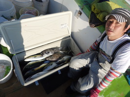 久里浜黒川本家 釣果