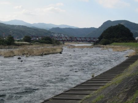 狩野川(狩野川漁業協同組合) 釣果