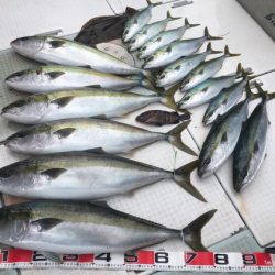 ふじしめ丸 釣果