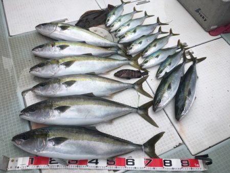 ふじしめ丸 釣果