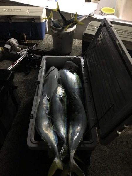 龍宮丸 釣果