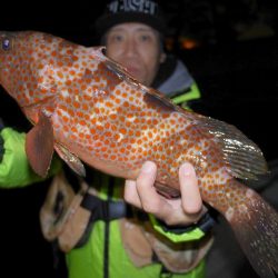 TOPGUN名古屋 釣果