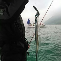 フィッシングガイド りょう 釣果