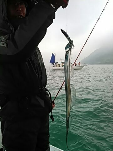 フィッシングガイド りょう 釣果