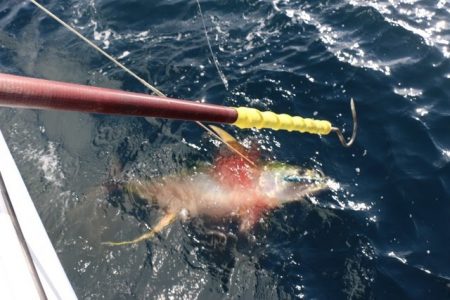 へいみつ丸 釣果