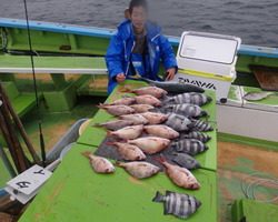 久里浜黒川本家 釣果