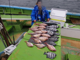 久里浜黒川本家 釣果