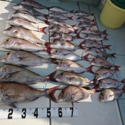 遊漁船 幸友丸 釣果