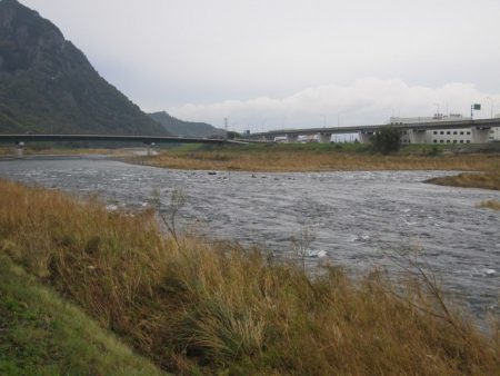 狩野川(狩野川漁業協同組合) 釣果