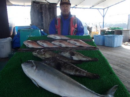 カタタのつり堀 釣果