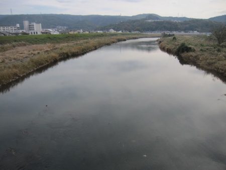 狩野川(狩野川漁業協同組合) 釣果