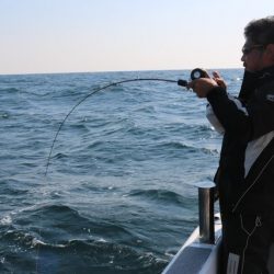 へいみつ丸 釣果