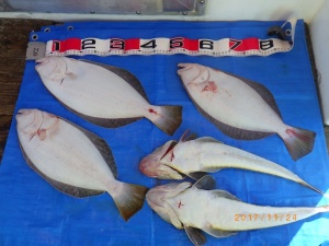 石川丸 釣果