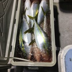 龍宮丸 釣果