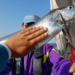 遊漁船　ニライカナイ 釣果