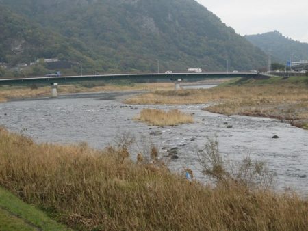 狩野川(狩野川漁業協同組合) 釣果