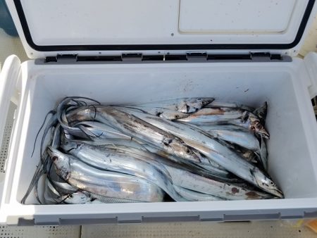 遊漁船　ニライカナイ 釣果