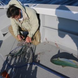 へいみつ丸 釣果