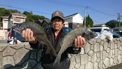 まこと渡船 釣果