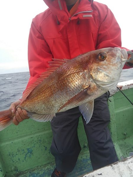 遊漁船 新鋭丸 釣果