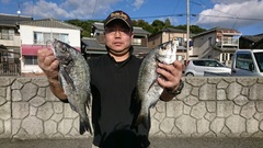 まこと渡船 釣果