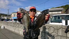 まこと渡船 釣果