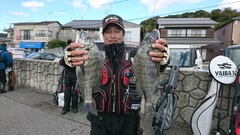 まこと渡船 釣果