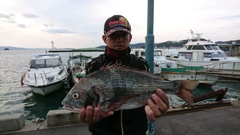 まこと渡船 釣果