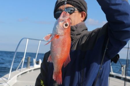 へいみつ丸 釣果
