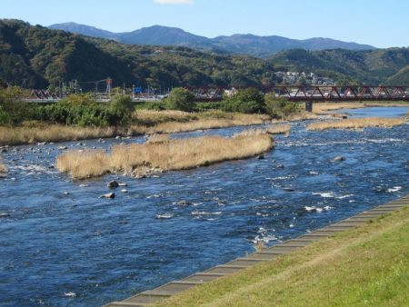 狩野川（狩野川漁業協同組合） 釣果