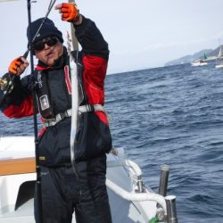 遊漁船 幸友丸 釣果