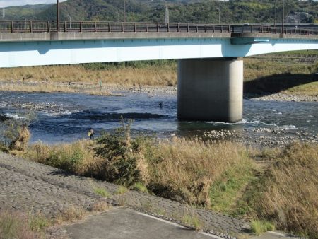 狩野川(狩野川漁業協同組合) 釣果