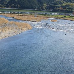 狩野川(狩野川漁業協同組合) 釣果