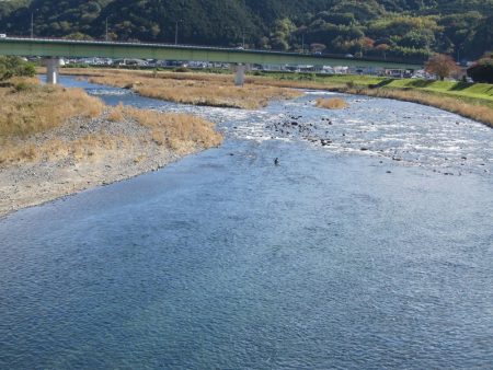 狩野川(狩野川漁業協同組合) 釣果