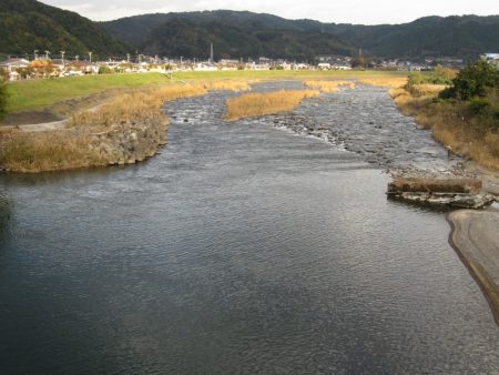 狩野川（狩野川漁業協同組合） 釣果