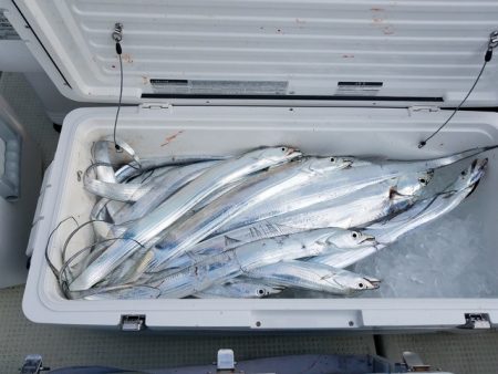 遊漁船　ニライカナイ 釣果