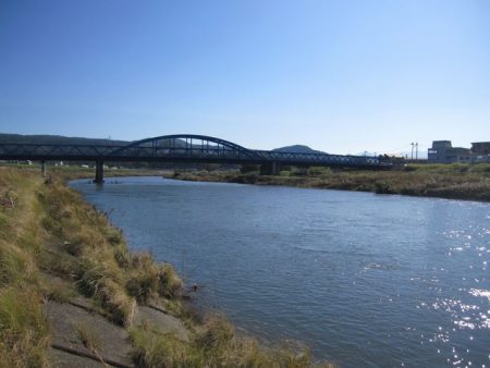 狩野川(狩野川漁業協同組合) 釣果