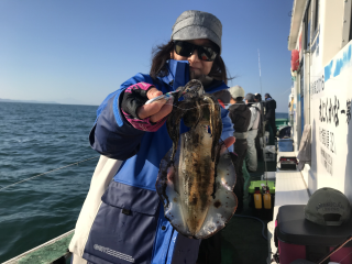 なかくに丸 釣果