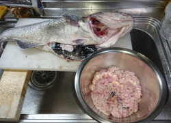 なかくに丸 釣果