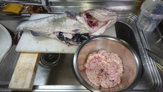 なかくに丸 釣果