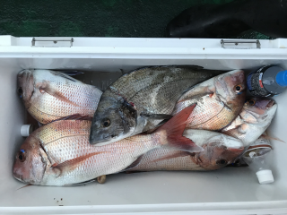 なかくに丸 釣果