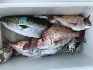 なかくに丸 釣果