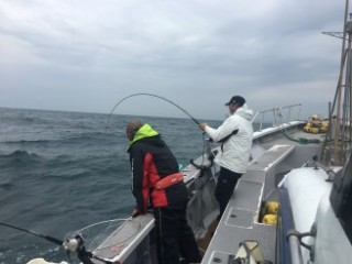 博栄丸 釣果