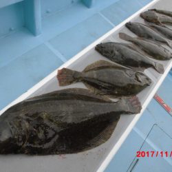 まとばや 釣果