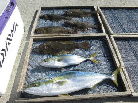 大進丸（愛知） 釣果