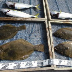 大進丸（愛知） 釣果