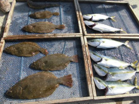 大進丸（愛知） 釣果